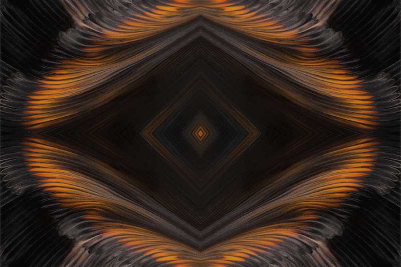 Illustration de la Dimension Absolue MANASOMA, expérience de conscience non-duelle et connexion au champ unifié de la conscience