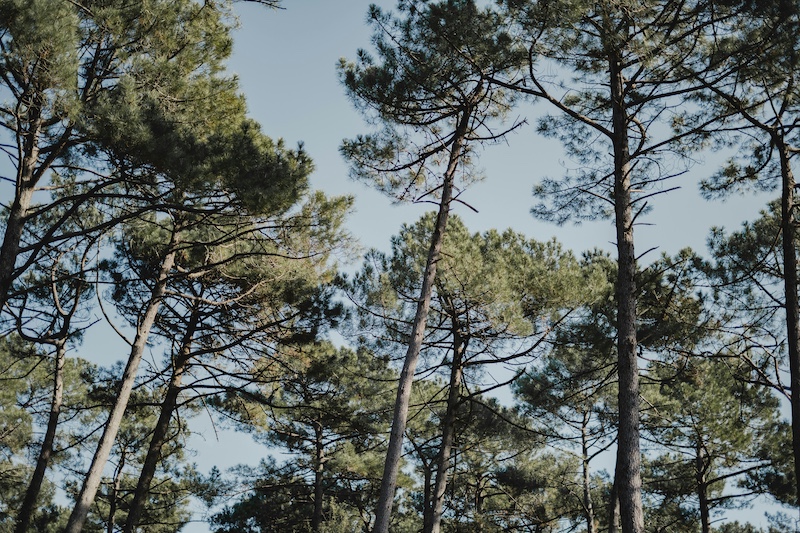 Seignosse, ville d’accueil des formations MANASOMA de breathwork et kundalini activation